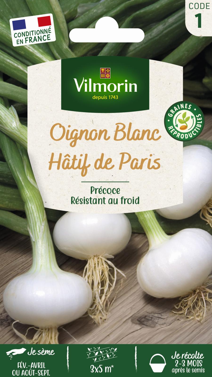 Oignon Blanc Hâtif de Paris - 3gr