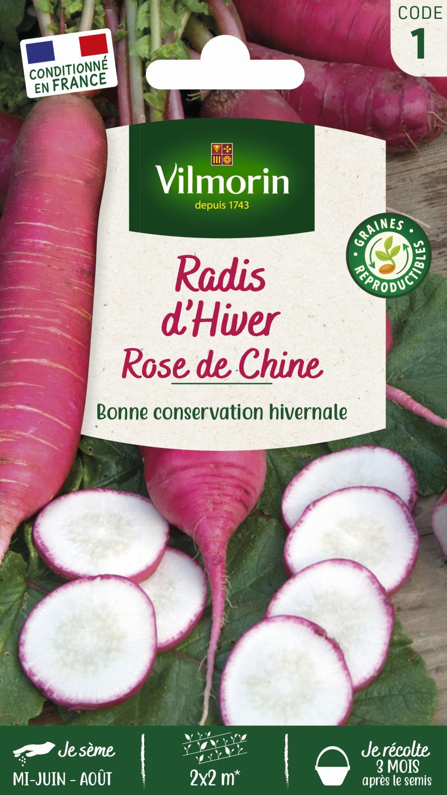 Radis Rose d\'Hiver de Chine - 6gr
