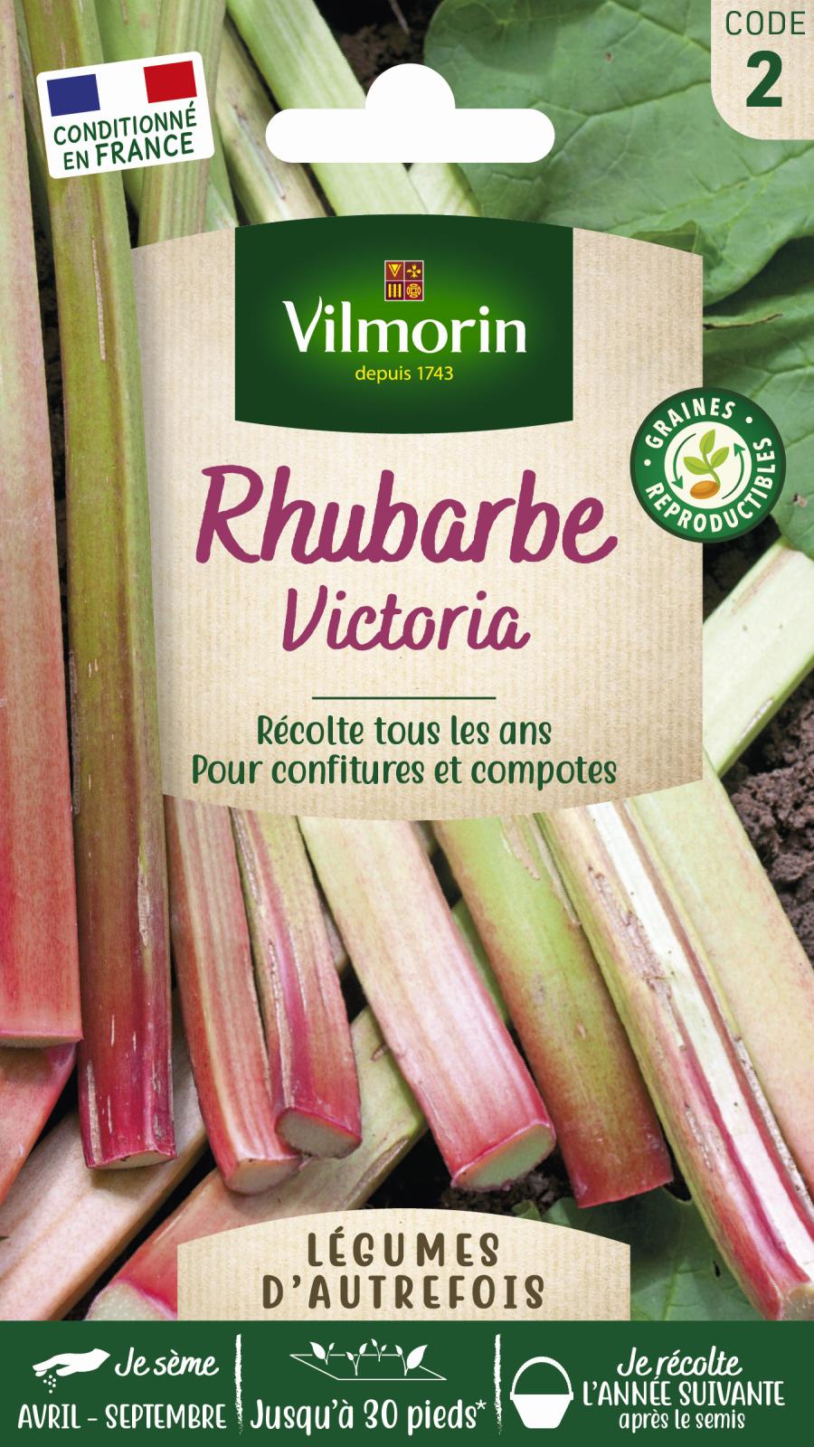 Rhubarbe Victoria - Légumes d\'Autrefois - 2gr