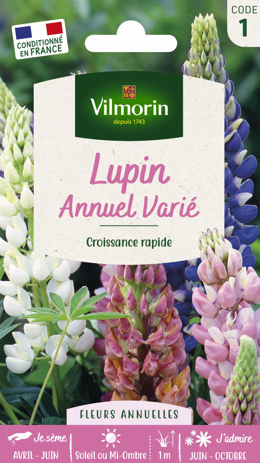 Lupin Annuel Varié - 4gr