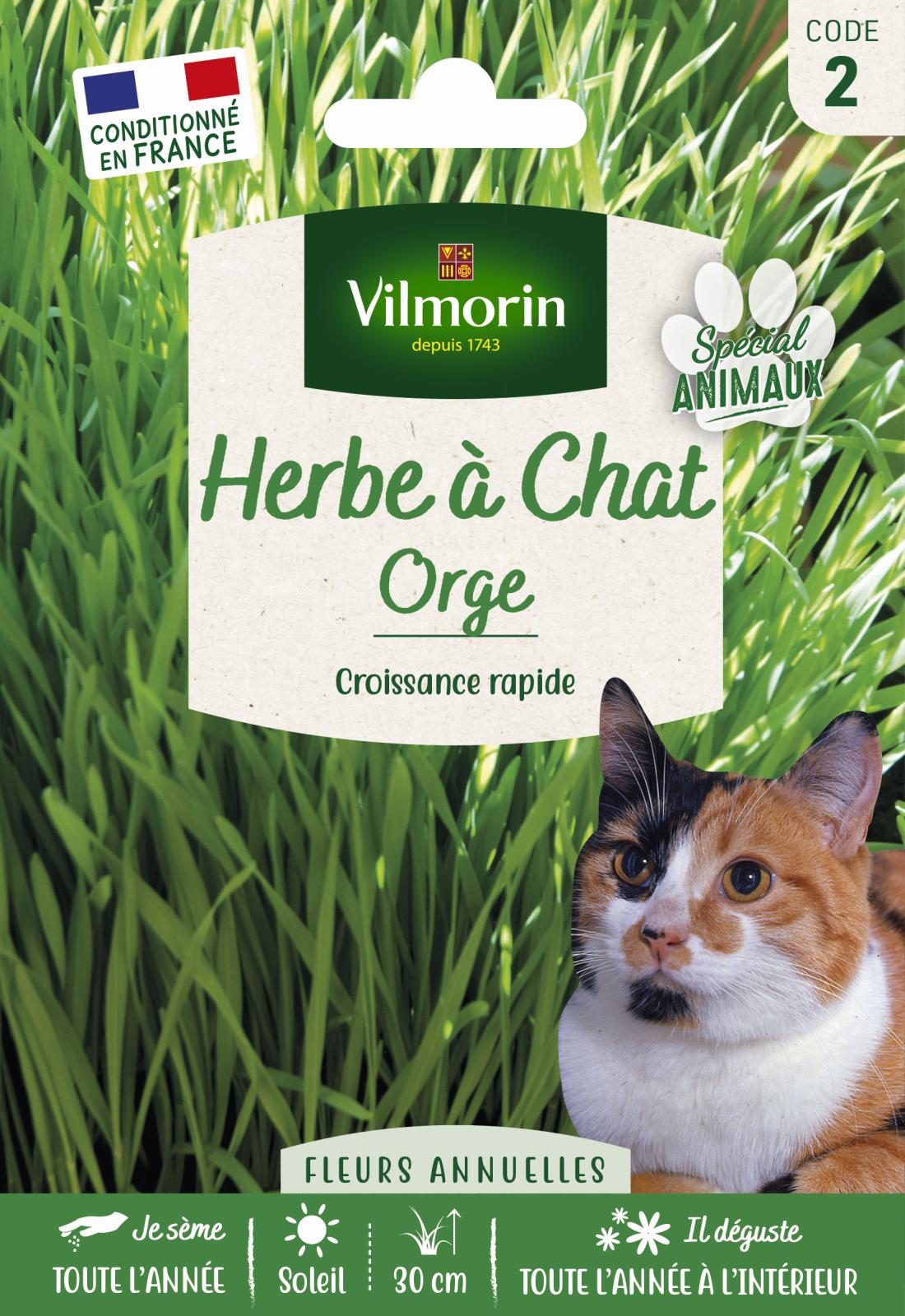 Herbe à Chat (Orge) - 30gr