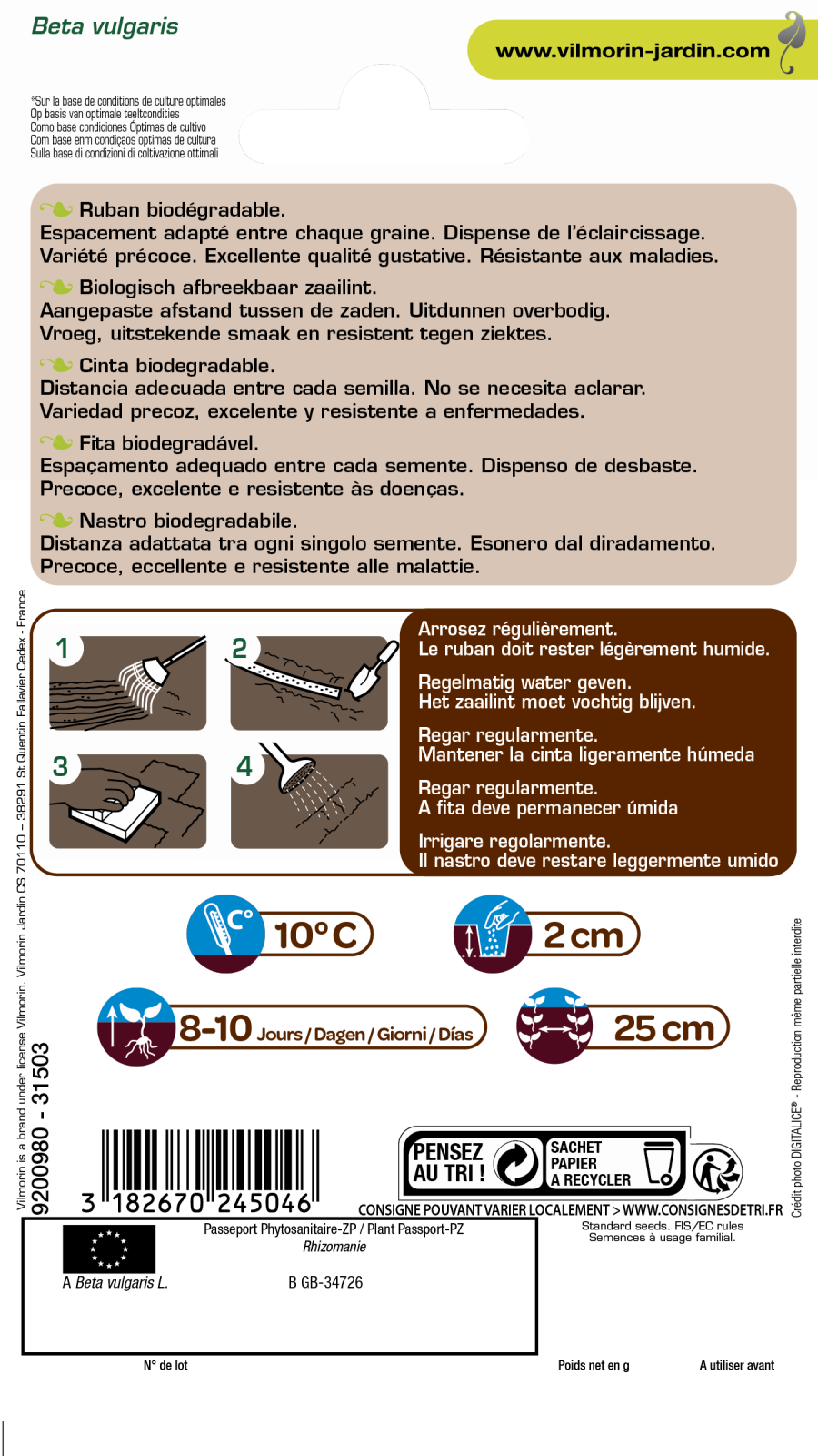 Ruban betterave 2