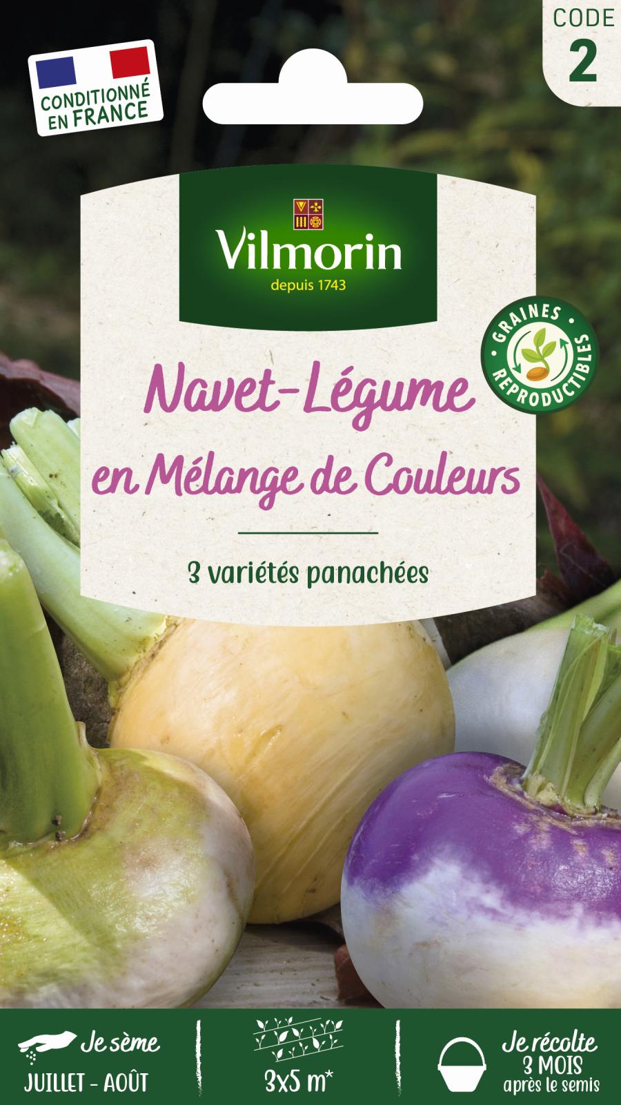 Navet - Mélange de Couleurs - 3gr