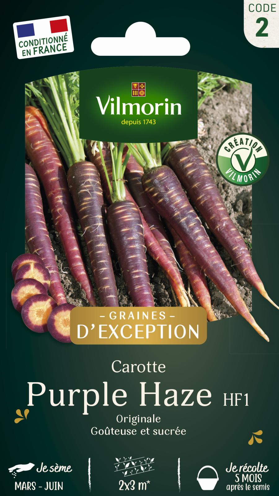 Carotte Violette Purple Haze - Graines d\'Exception - 1gr