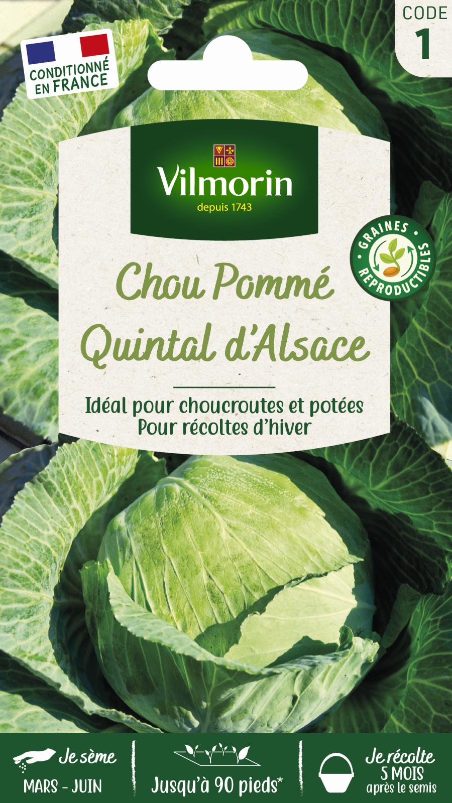Chou Blanc Quintal d\'Alsace - 2gr