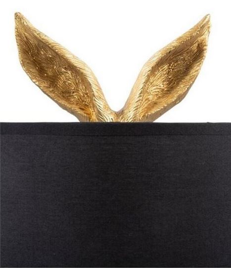 LAPIN2