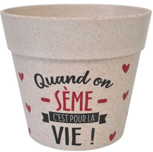 SEME1