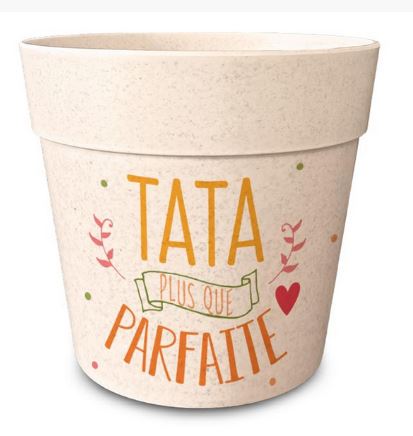 TATA PARFAITE2