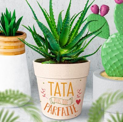 TATA PARFAITE3