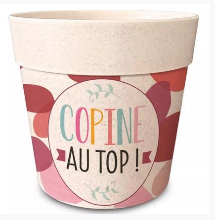 COPINE