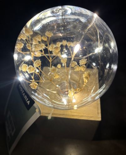 LAMPE2