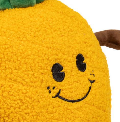 ANANAS2