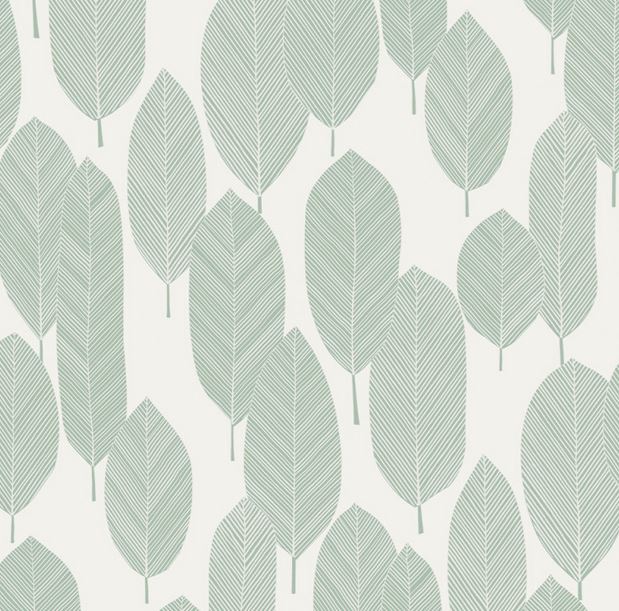 Papier Peint Vinyle Expansé / Intissé - PLUME - Vert