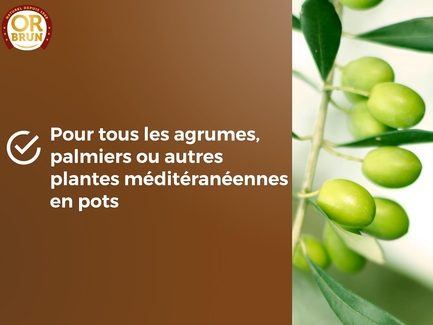 TERREAU AGRUMES BAG 6L 5