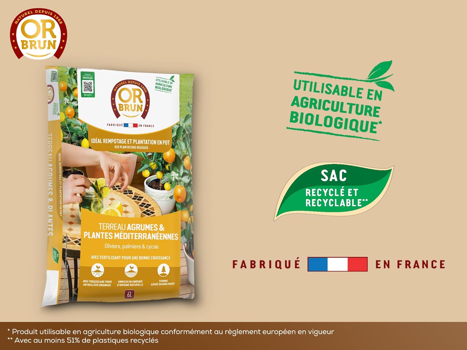 TERREAU AGRUMES BAG 6L 2
