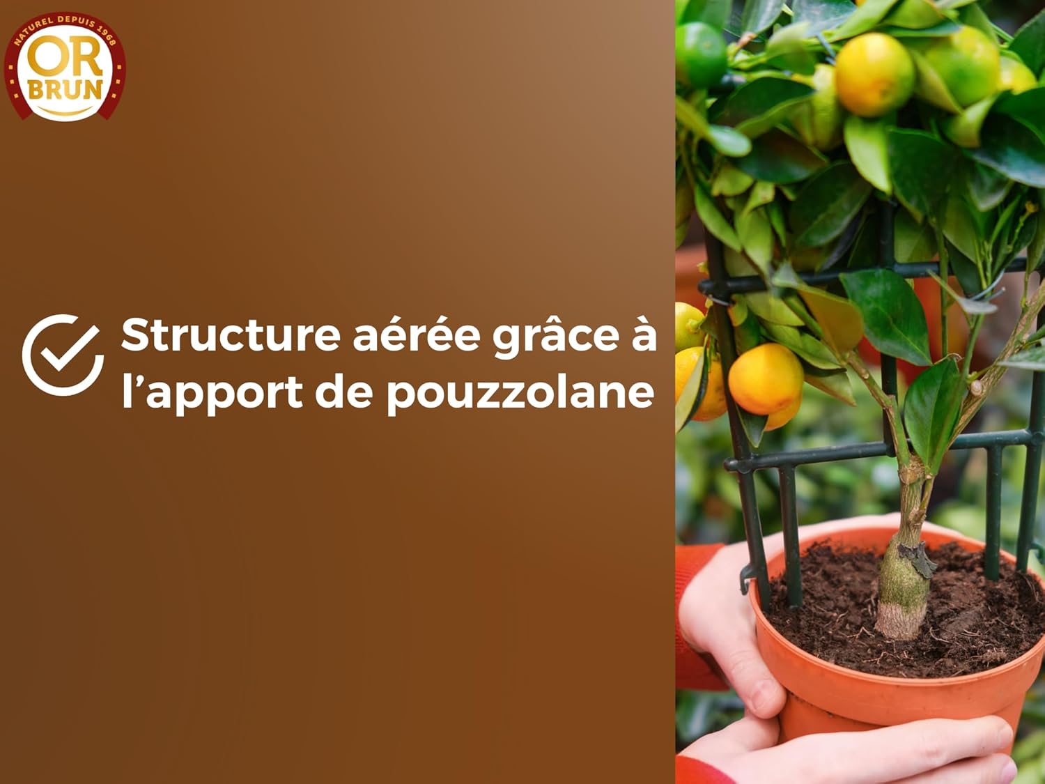 TERREAU AGRUMES BAG 6L 3