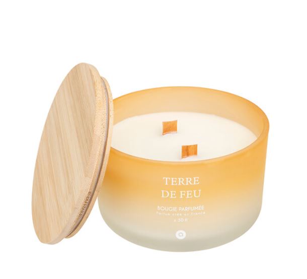 TERRE DE FEU2