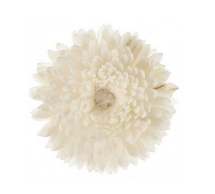 Fleur de Goatier - CHRISTEN - Diam.5cm