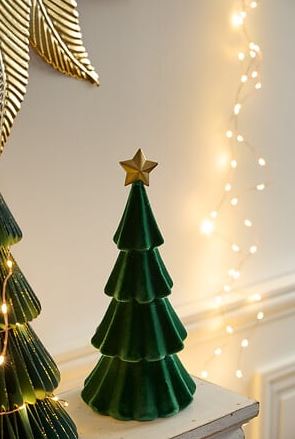 sapin3