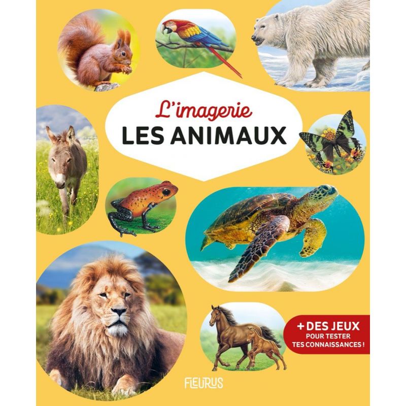 l-imagerie-les-animaux