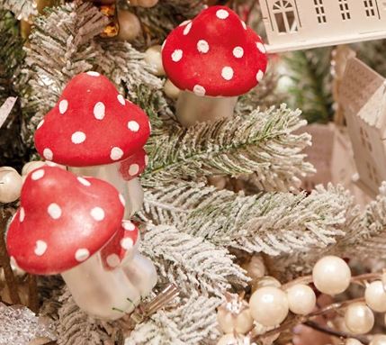 CHAMPIGNON SUR CLIP 2