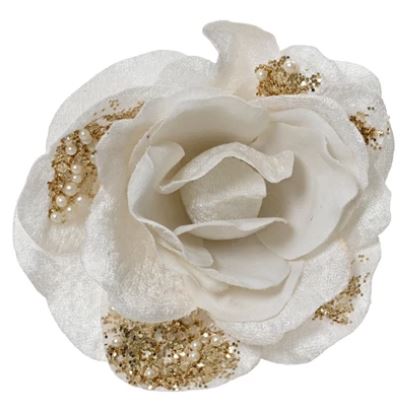 ROSE Sur CLIP blanc