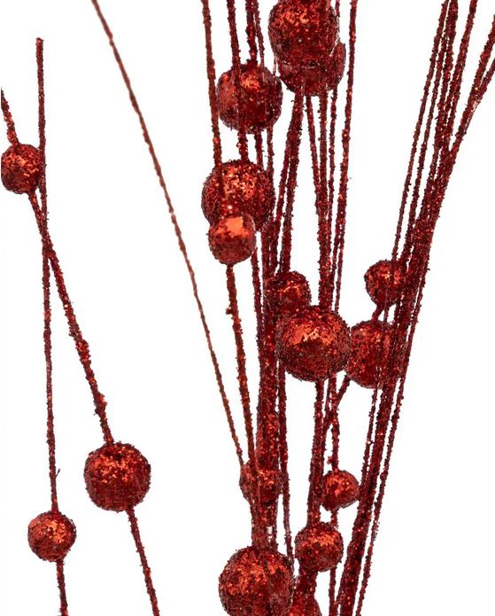 BCH ROSEAU BILLE ROUGE 95CM.JPG 1