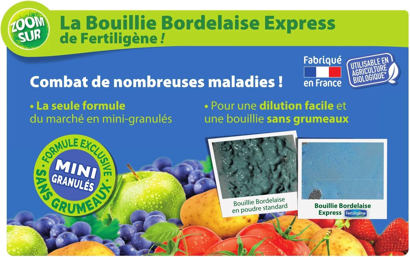 Bouillie Bordelaise Express Granulés 3121970167955 1