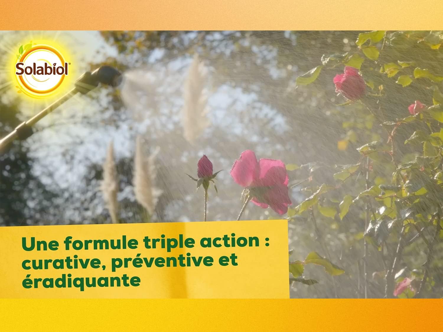 MALADIES DES ROSIERS 400 G 5