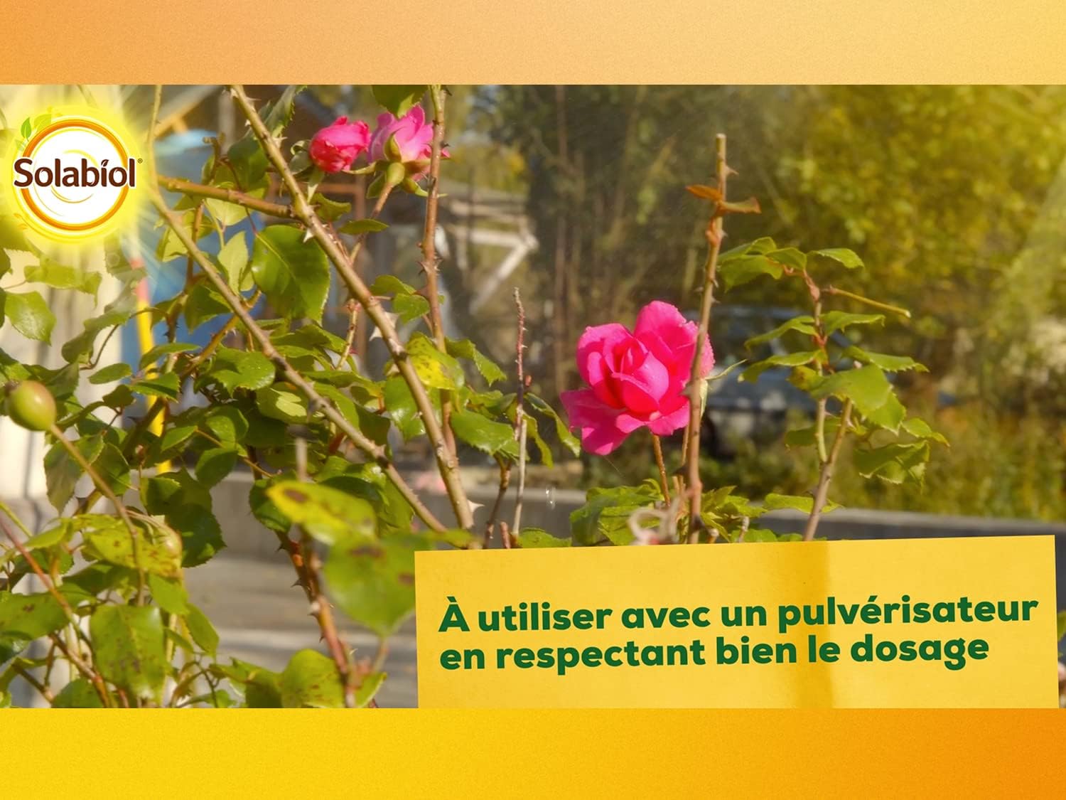 MALADIES DES ROSIERS 400 G 6