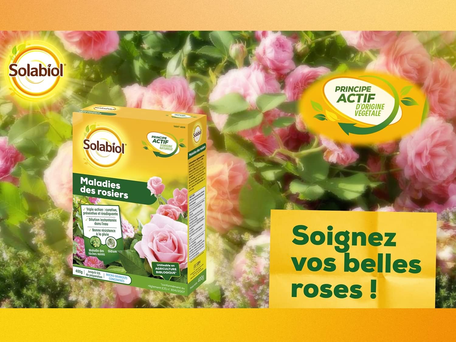 MALADIES DES ROSIERS 400 G 4