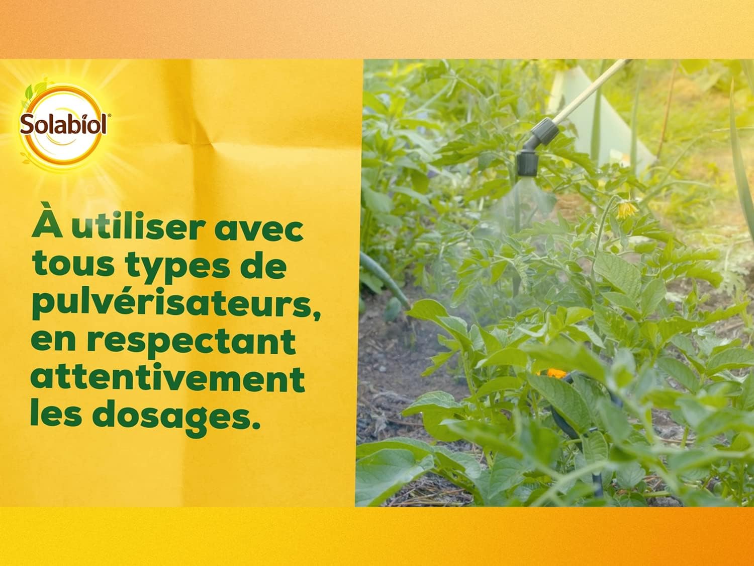 INSECTICIDE POTAGER 100ML 6