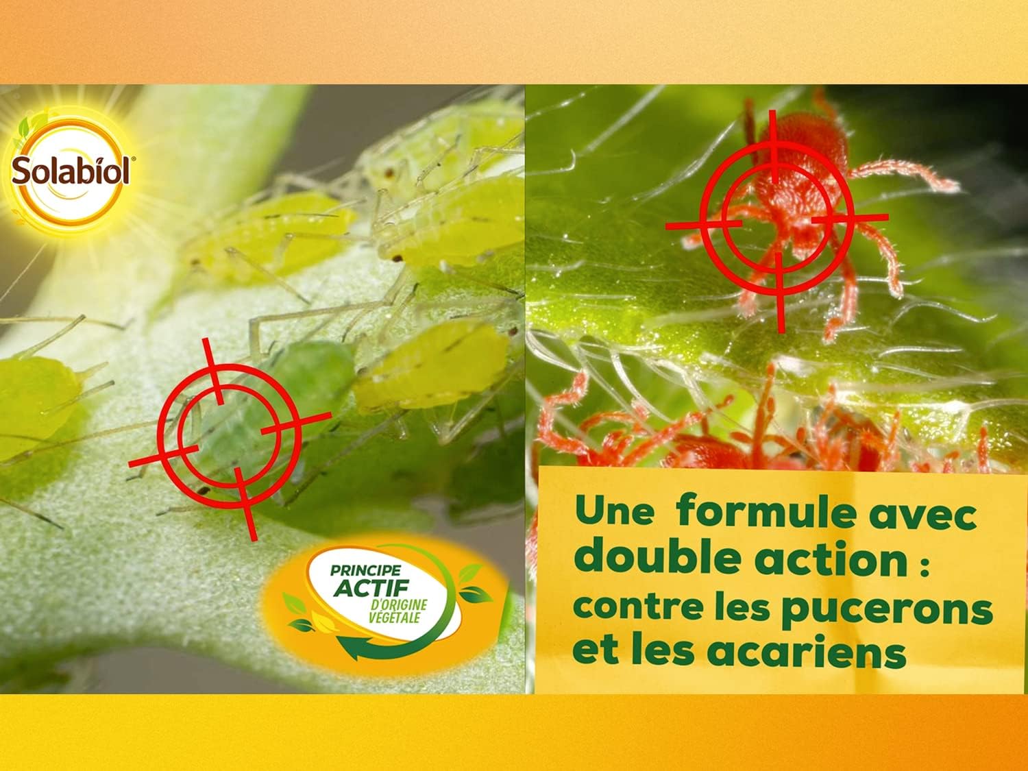 INSECTICIDE POTAGER 100ML 3