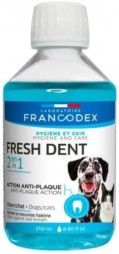 Fresh Dent 2 en 1 250ml