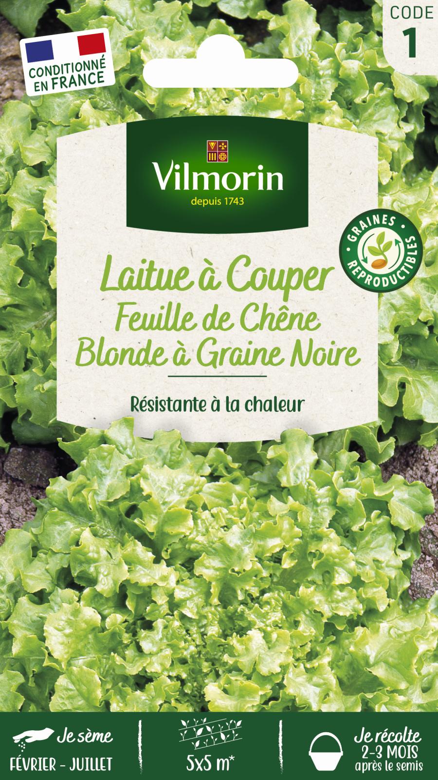 Laitue à couper Feuille de Chêne Blonde à Graine Noire - 4gr