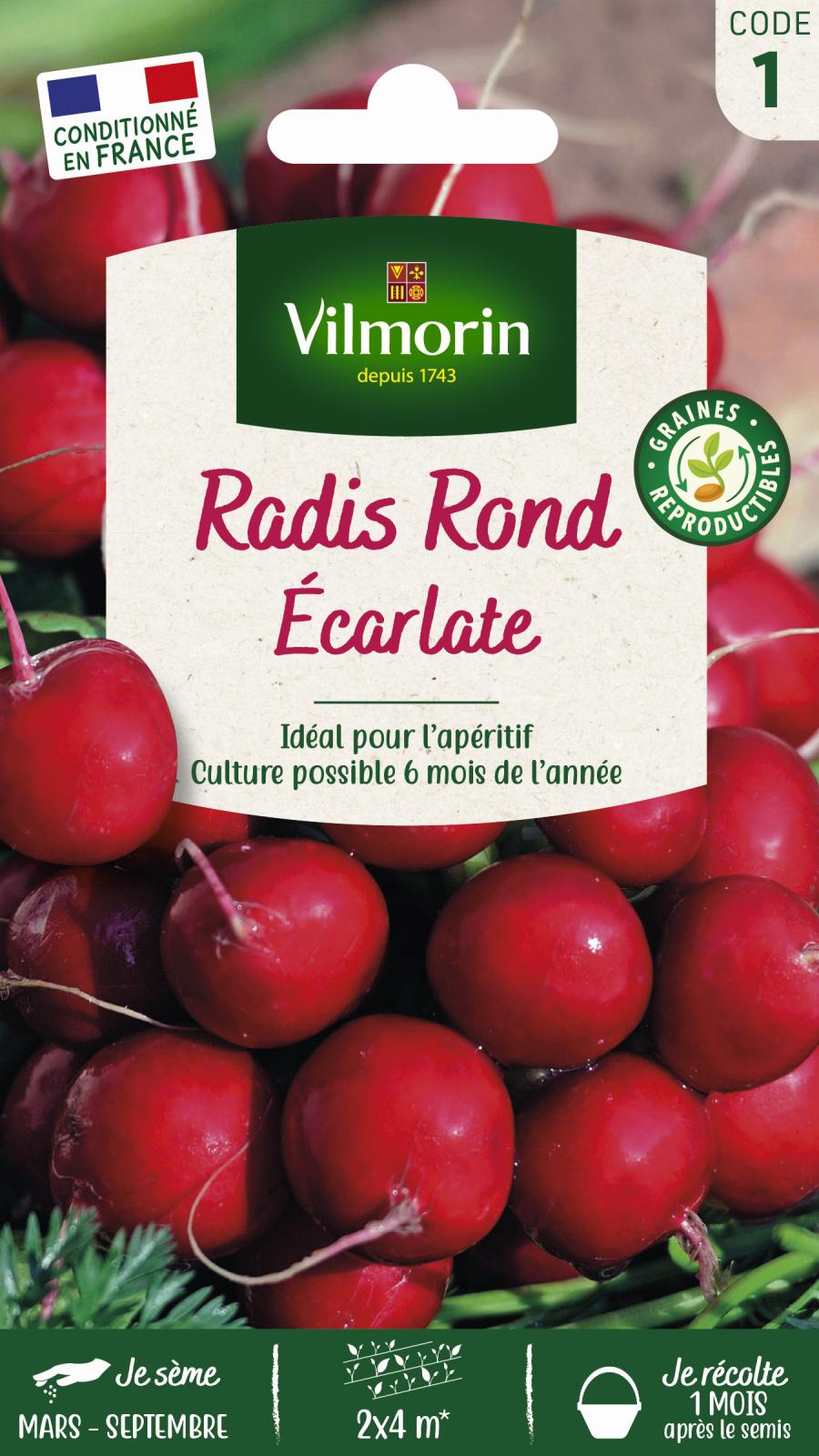 Radis Rond Ecarlate - 10gr