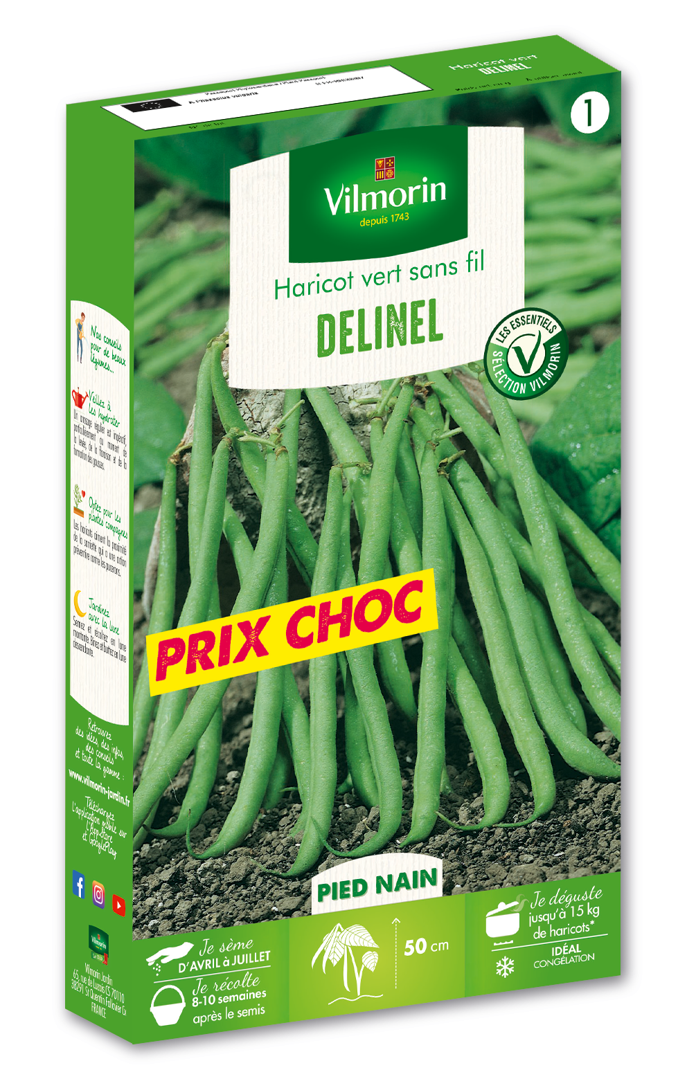 Haricot Nain Vert Delinel - 140gr