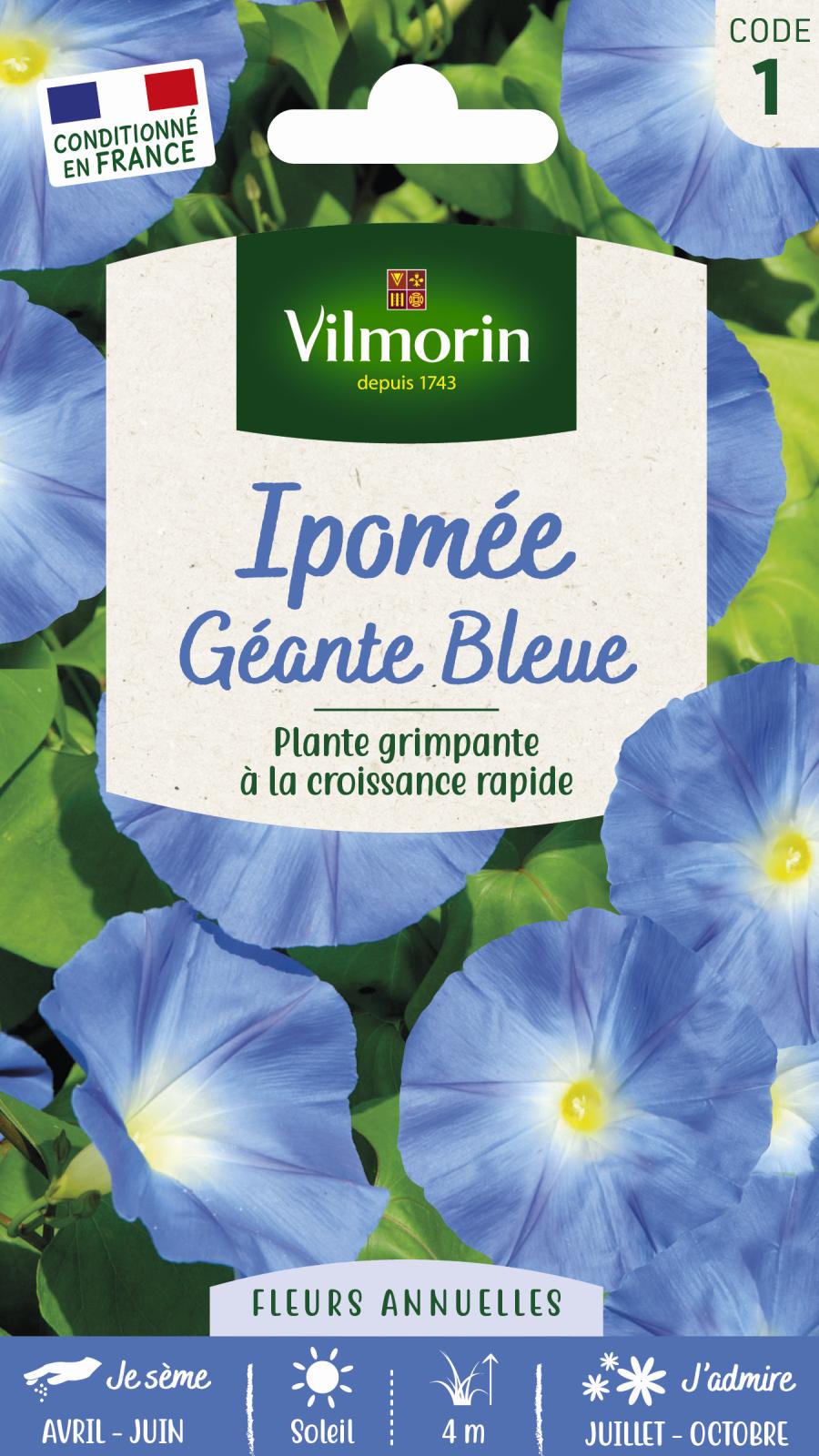 Ipomée Grande Fleur Bleue - 4gr