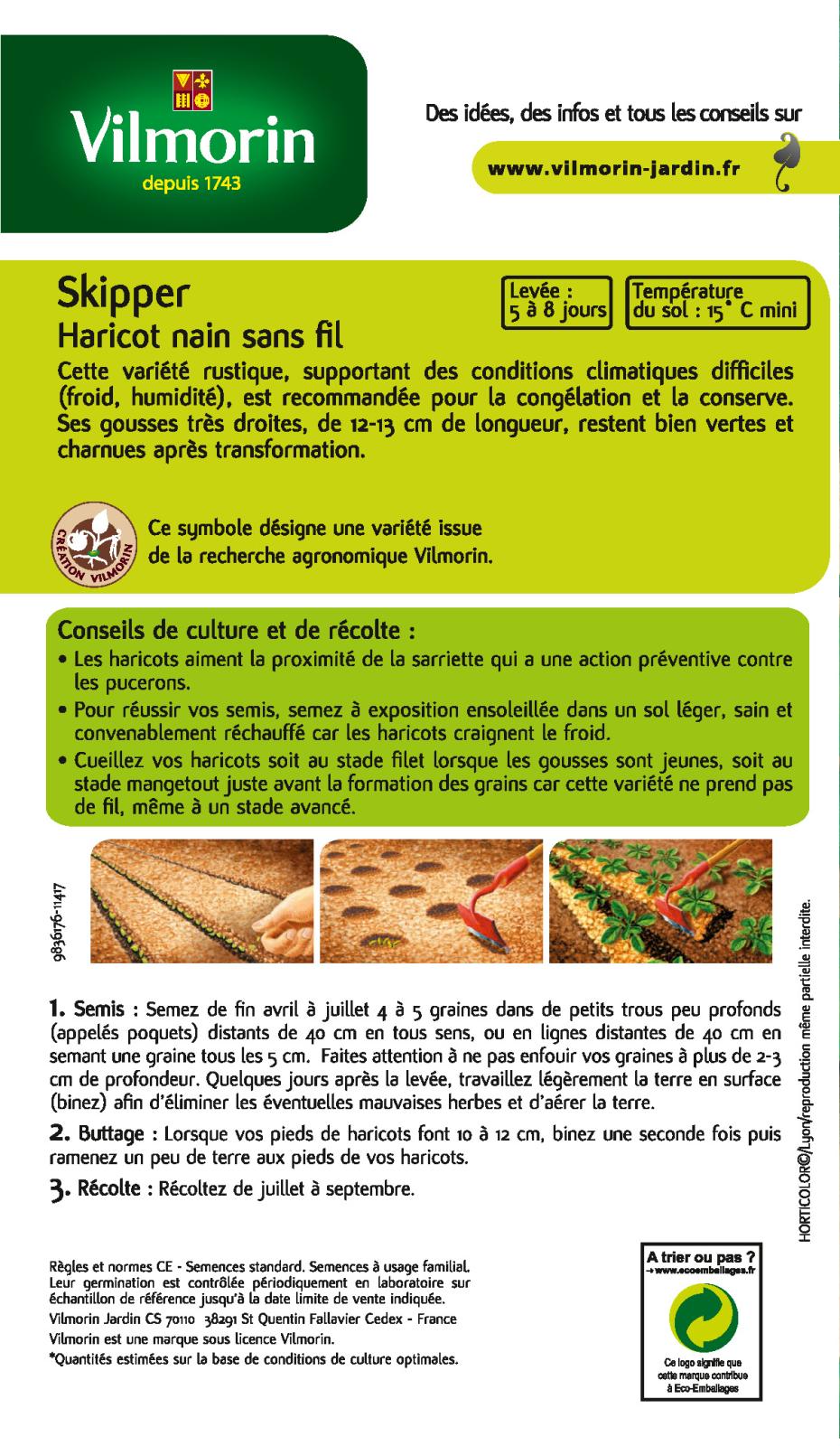 Haricot Skipper 1