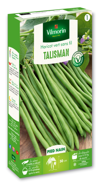 Haricot Nain Vert Talisman - 140gr