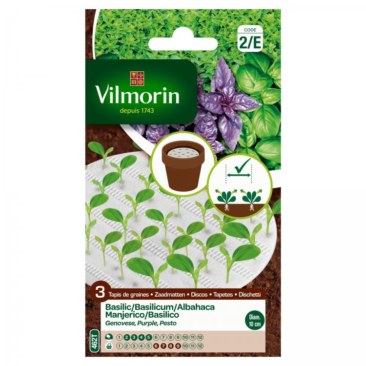 Tapis Trio de Basilic, Grand Vert, Pesto, Pourpre - 3x10cm