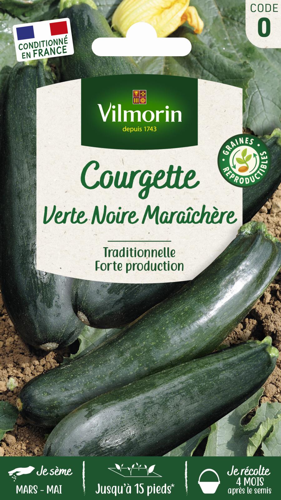Courgette Verte Noire Maraîchère - 4gr