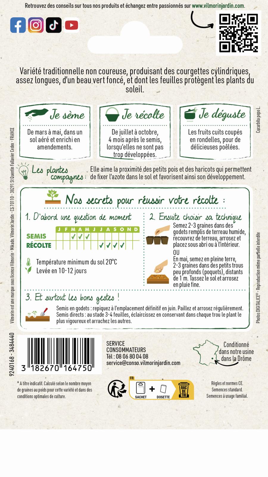 Courgette maraicheres 2