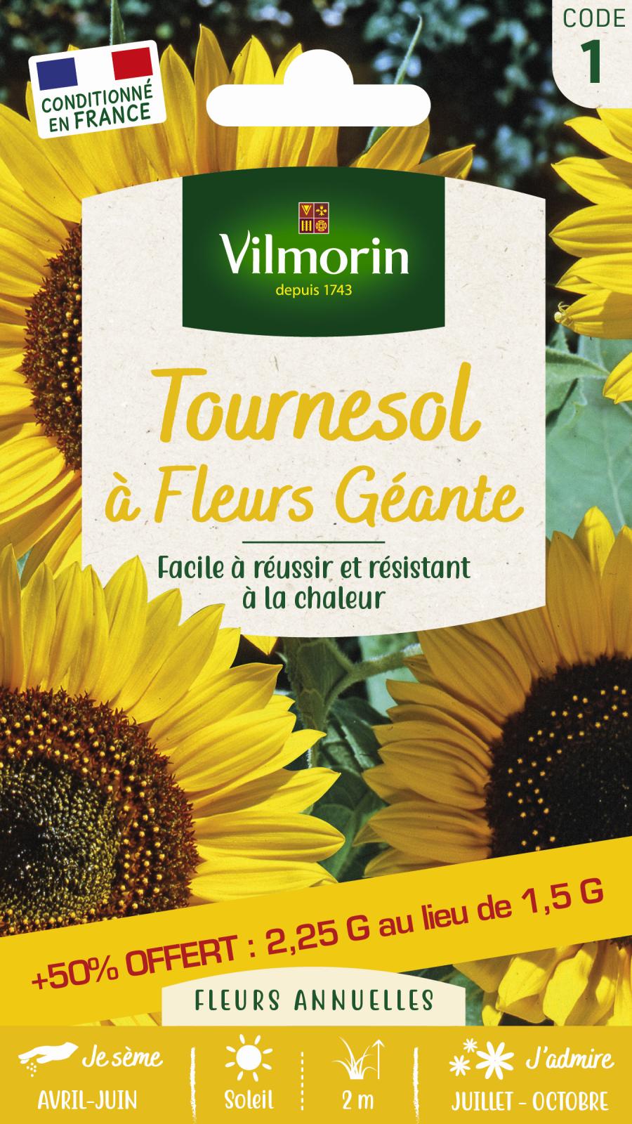 Tournesol à Fleur Géante + 50% Offert