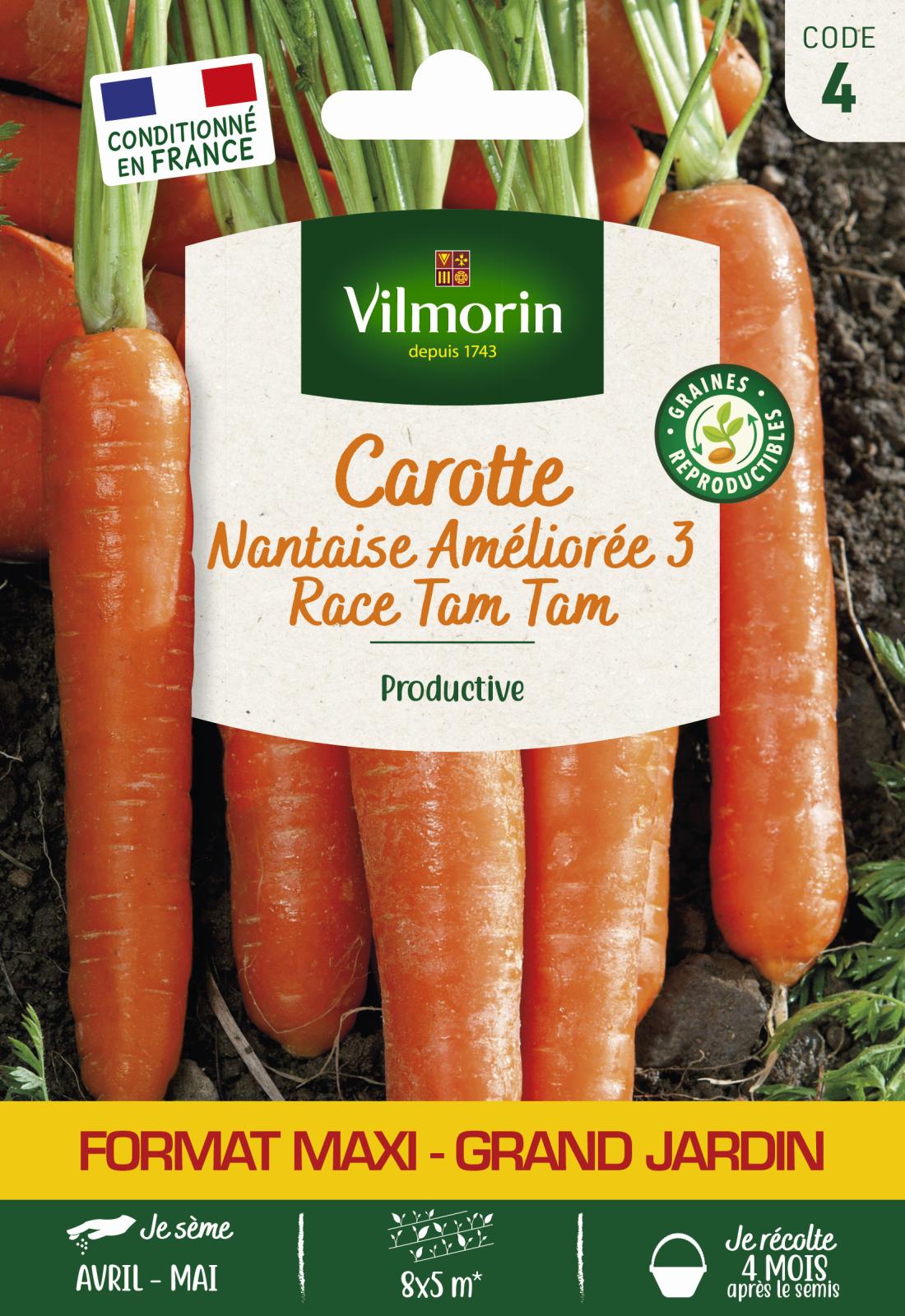 Carotte Nantaise Race Tam Tam - 16gr