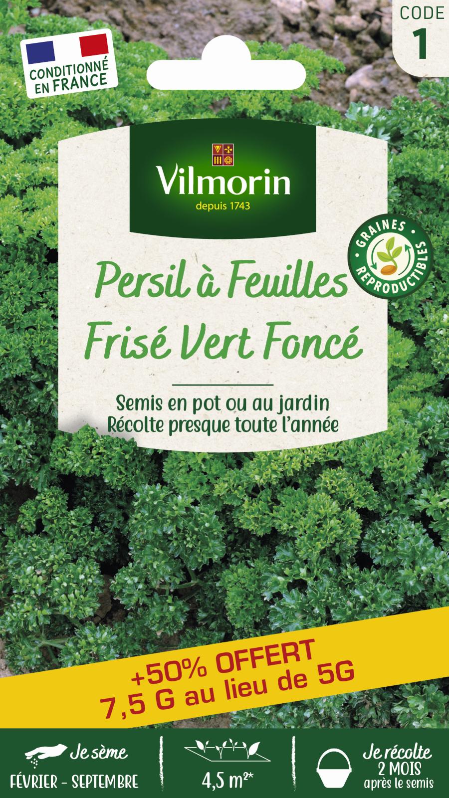 Persil Frisé Vert Foncé + 50% Offert