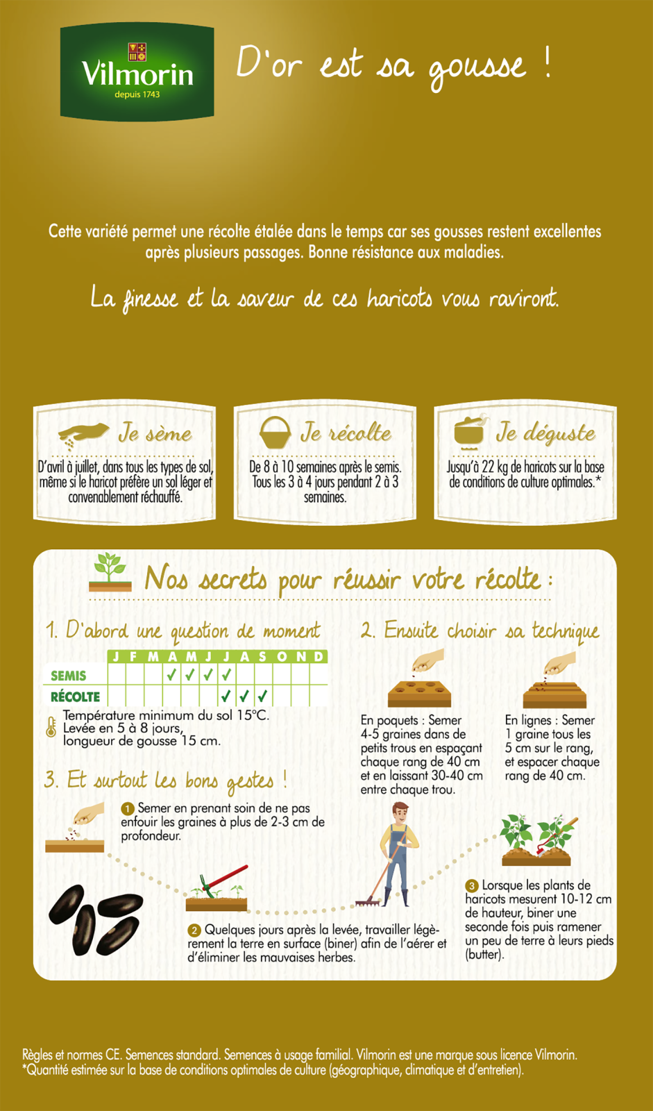 Haricot Goussdor 1