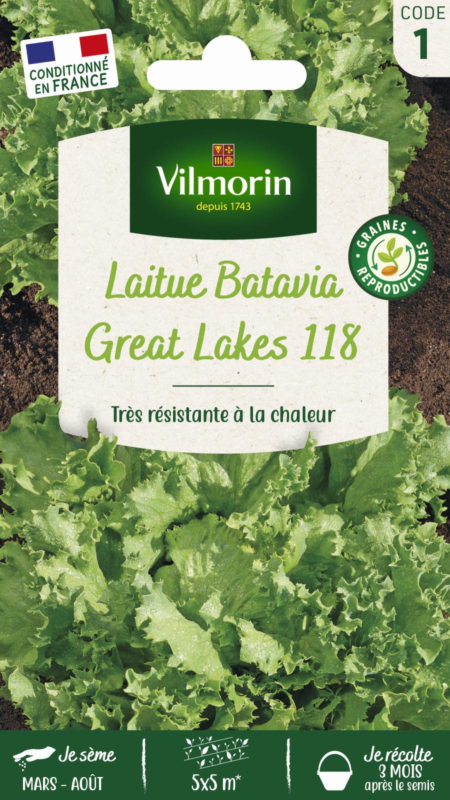 Laitue Batavia Great Lakes 118 - 4gr