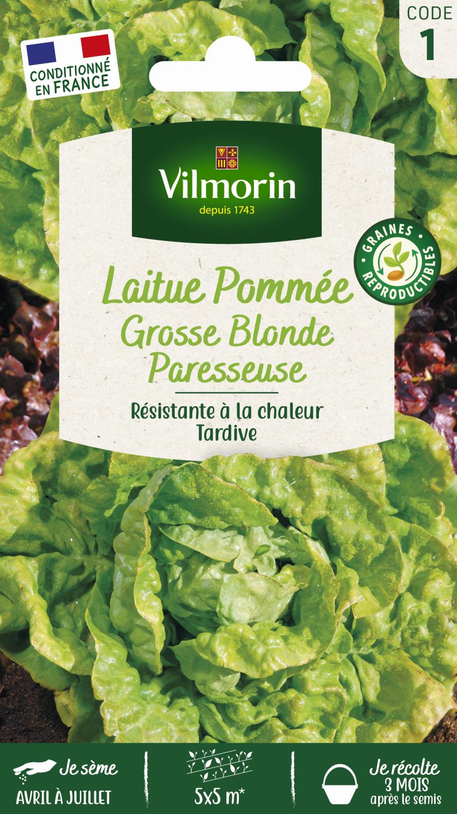 Laitue Pommée Grosse Blonde Paresseuse - 4gr