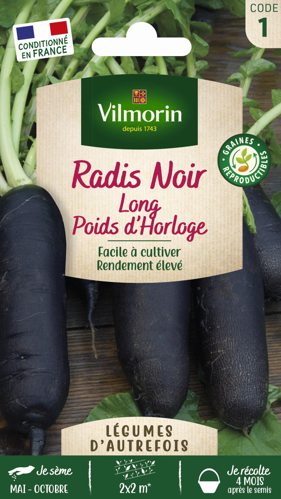 Radis Noir Long Poids d\'Horloge - Légumes d\'Autrefois - 5gr